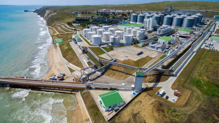Владелец компании-экспортера зерна Илья Косых получил четверть комплекса «Тамань» на Кубани