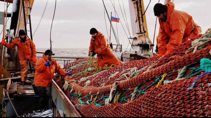 Вылов рыбы и креветок в Азовском море вырос почти на 3 тыс. тонн Вылов рыбы и креветок в Азовском море вырос почти на 3 тыс. тонн