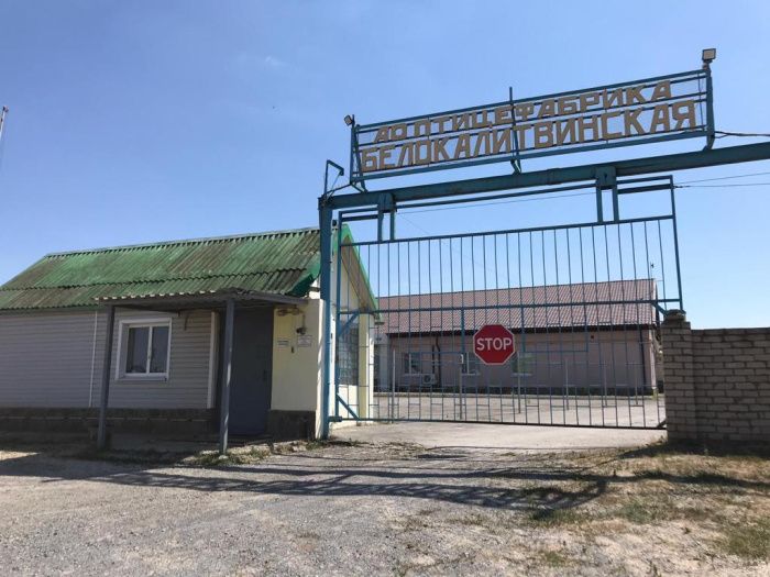 «Белокалитвинская птицефабрика» сменила бенефициара «Белокалитвинская птицефабрика» сменила бенефициара