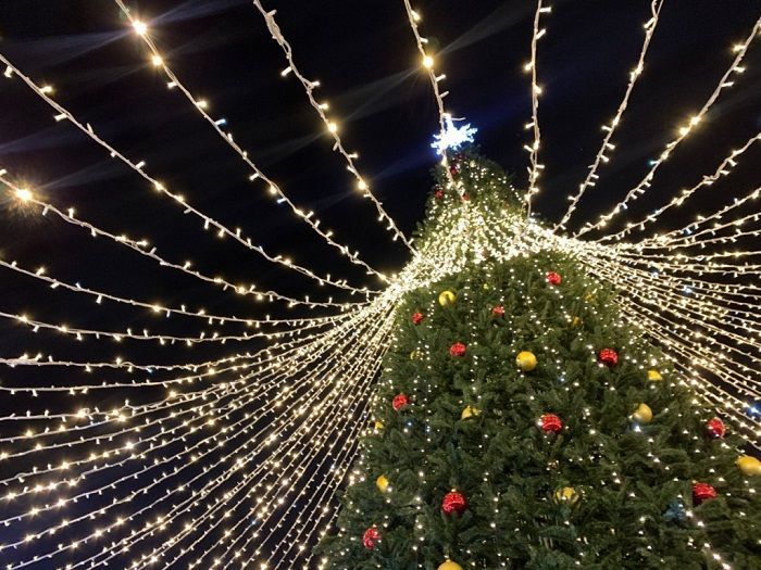 Власти Ростова поделились фотографиями украшенного к Новому году города Власти Ростова поделились фотографиями украшенного к Новому году города