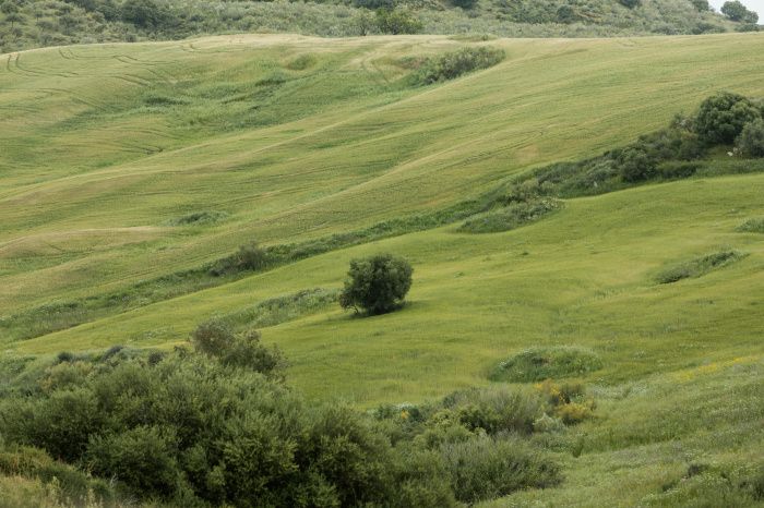 В Крыму планируют создать карбоновый полигон для мониторинга уровня парниковых газов В Крыму планируют создать карбоновый полигон для мониторинга уровня парниковых газов