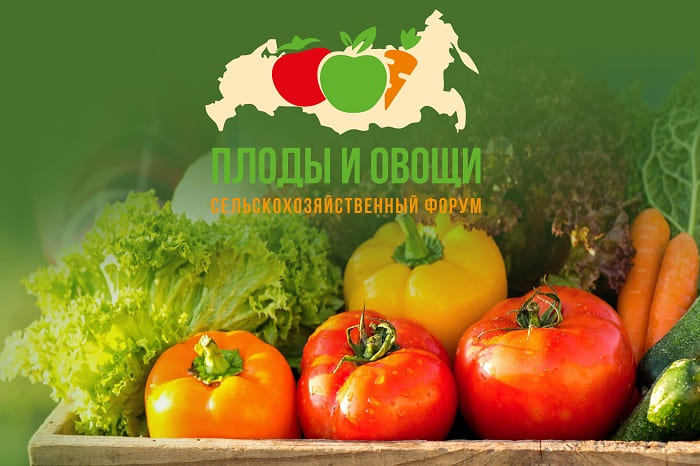 Наталья Савельева выступит на III сельскохозяйственном форуме «Плоды и овощи России-2021»
