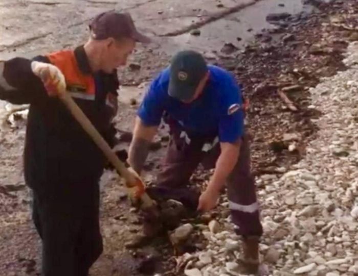 В Черном море разлили нефтепродукты на площади 700 кв. метров В Черном море разлили нефтепродукты на площади 700 кв. метров