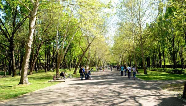 На создание зеленых зон в Краснодаре Евланову дали два месяца На создание зеленых зон в Краснодаре Евланову дали два месяца