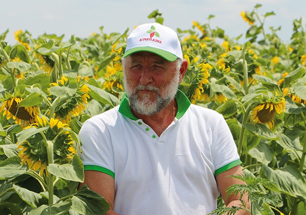 Как продажник из Cargill поднялся на русских гибридах Как продажник из Cargill поднялся на русских гибридах
