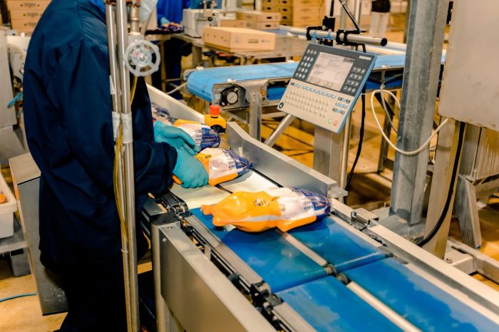 Донской комплекс ГК «Дамате» занял 45% доли рынка мяса утки России Донской комплекс ГК «Дамате» занял 45% доли рынка мяса утки России