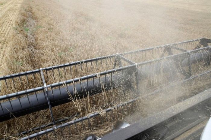 Ученые ВШЭ: более 90% сельхозугодий Дона и Кубани находятся под высоким риском засух