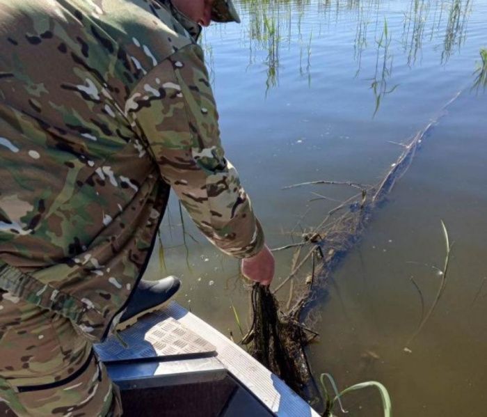 Из водоемов Волгоградской области извлекли около 1 300 фрагментов орудий лова Из водоемов Волгоградской области извлекли около 1 300 фрагментов орудий лова
