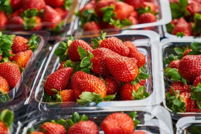 Кабардино-Балкария вошла в топ-3 регионов России по производству плодов и ягод