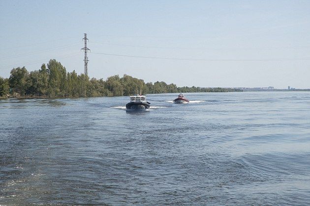 В Волгоградской области ФСБ пресекла крупный нелегальный канал поставки осетрины и черной икры