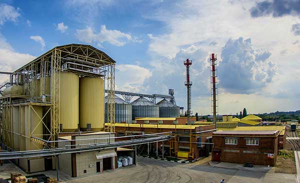 На Кубани запустят крупнейшее в России производство полисахарида из крахмала