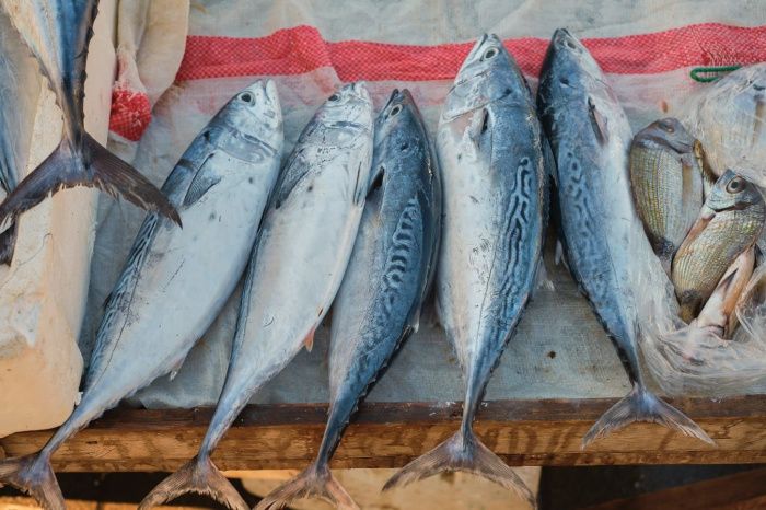 На Дону планируют создать оптово-розничный рыбный рынок