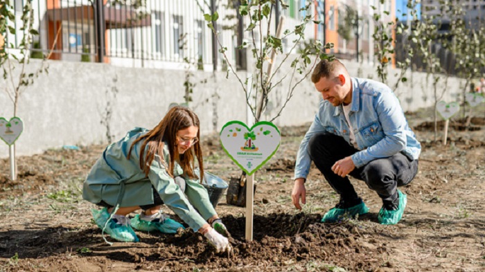 В экорайоне «Вересаево» местные жители высадили более 150 плодовых деревьев