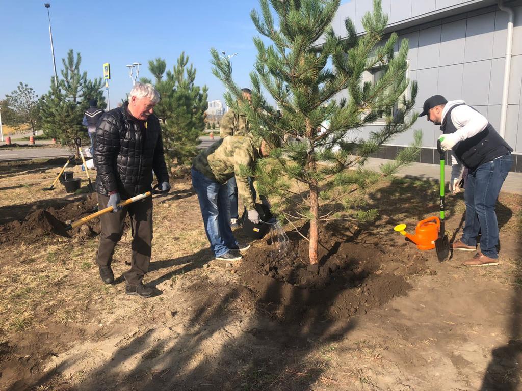 В этот раз сажала и прокуратура: в Ростове прошел День древонасаждения