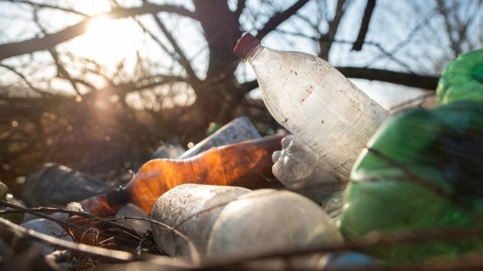 Александр Бастрыкин потребовал предоставить доклад по делу о мусорном полигоне в Краснодарском крае