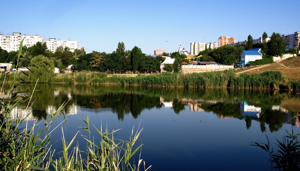 На Градсовете Ростова будет представлена дорожная карта создания парка у реки Темерник