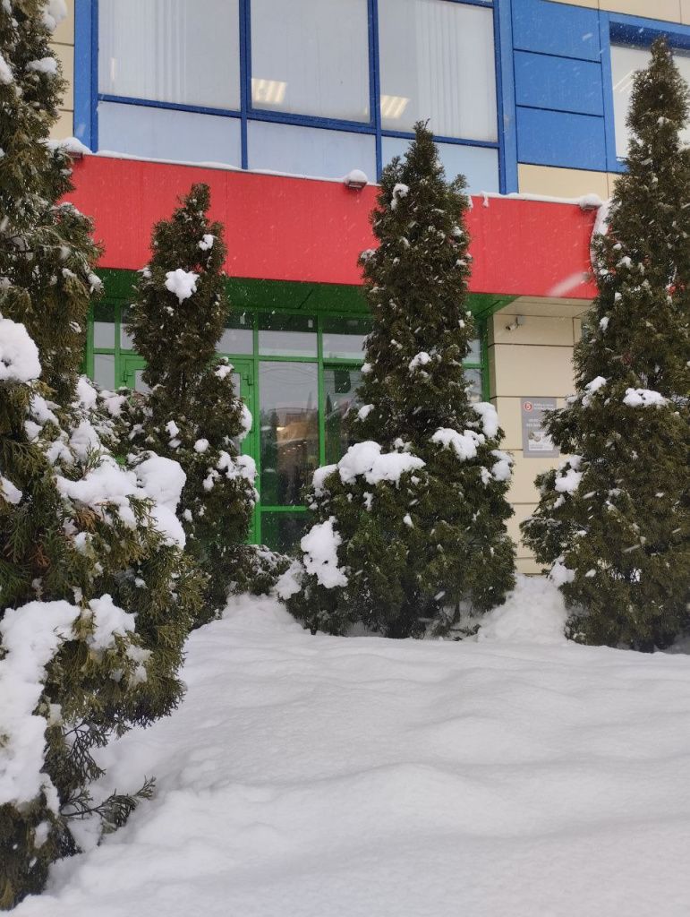 Снегопад Ростов 6 Снегопад Ростов 6