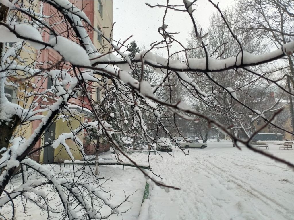 Снегопад Ростов 3 Снегопад Ростов 3