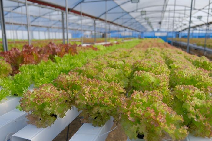 Никита Толстов_Архангельск_3.jpeg