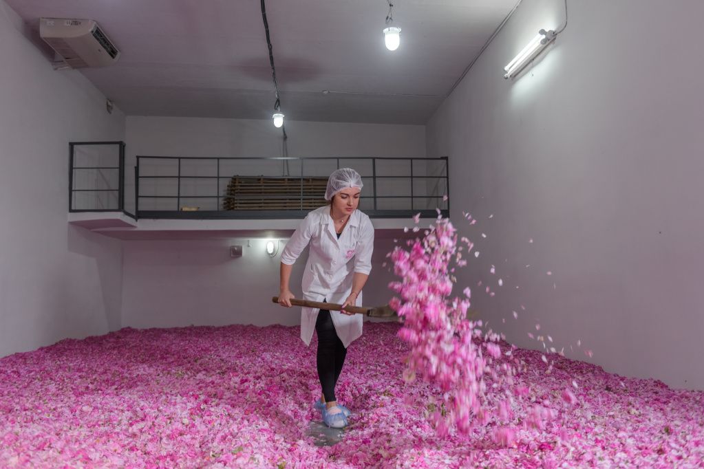 Хранение лепестков розы на производстве перед переработкой (1).jpg