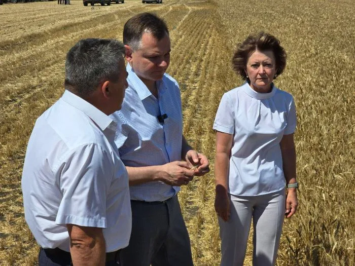 Замедленная пролонгация: почему в Ростовской области пока не заработала поддержка пострадавших от засухи аграриев