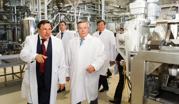 «Мишкино несчастье»: банкротится крупная кондитерская фабрика «Мишкино несчастье»: банкротится крупная кондитерская фабрика