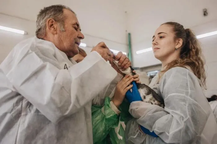 На Кубани спасли больше 2,5 тыс. пострадавших от мазута птиц На Кубани спасли больше 2,5 тыс. пострадавших от мазута птиц