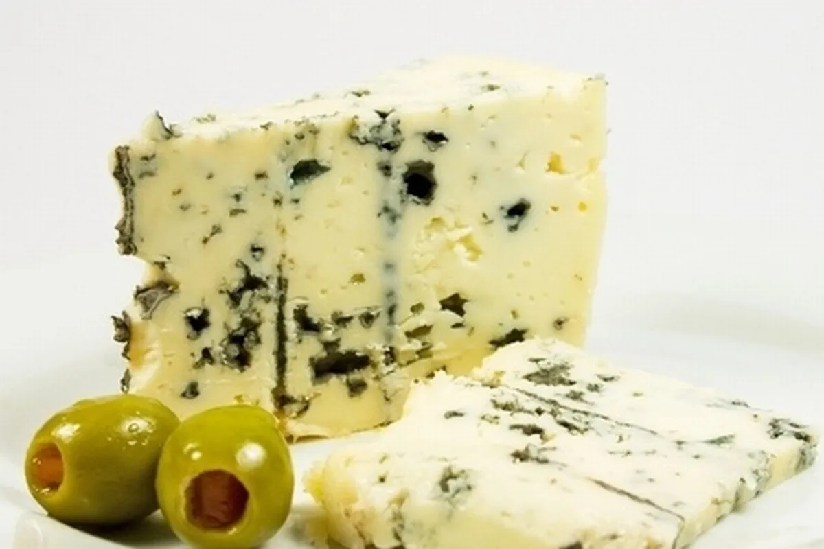 В Краснодарском крае налаживается производство европейских сыров