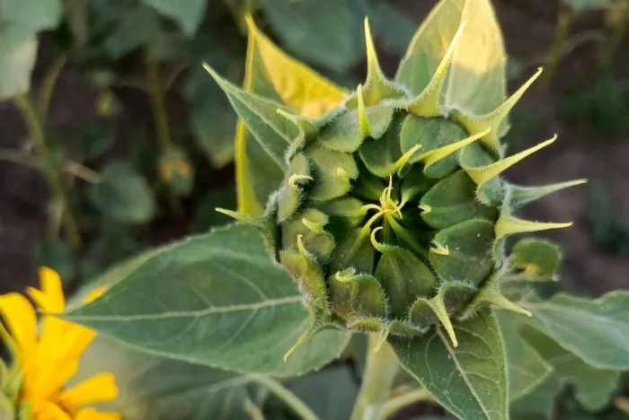 Агрохолдинг «Степь» оборудовал три агрокласса