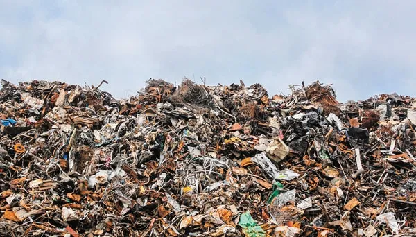 Реформа обращения с отходами упёрлась в формализм