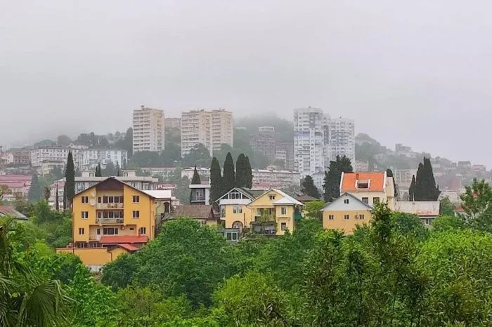 Сочи, Геленджик и Краснодар назвали самыми привлекательными городами для инвестиций в недвижимость Сочи, Геленджик и Краснодар назвали самыми привлекательными городами для инвестиций в недвижимость