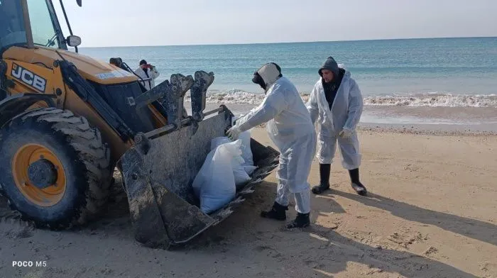 На десяти участках побережья Кубани выявлены новые загрязнения мазутом На десяти участках побережья Кубани выявлены новые загрязнения мазутом
