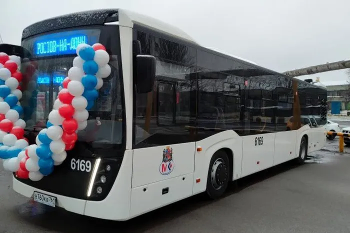 Власти Ростовской области заявили о потребности в 181 автобусе и 77 электробусах Власти Ростовской области заявили о потребности в 181 автобусе и 77 электробусах