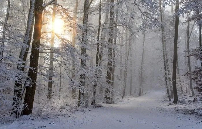 Метеорологи допустили аномальное похолодание в Ростове до -20 градусов