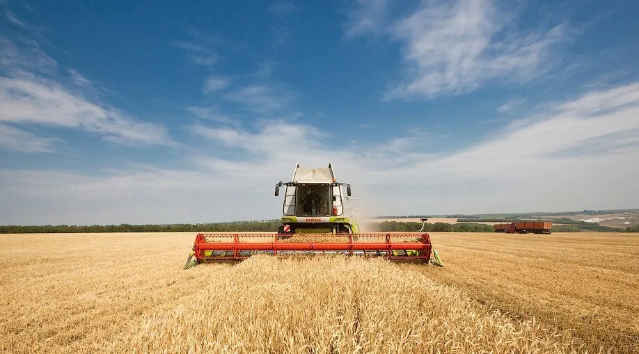 «Агрокомплекс им. Н.И.Ткачева» планирует купить холдинг Parus Agro group «Агрокомплекс им. Н.И.Ткачева» планирует купить холдинг Parus Agro group