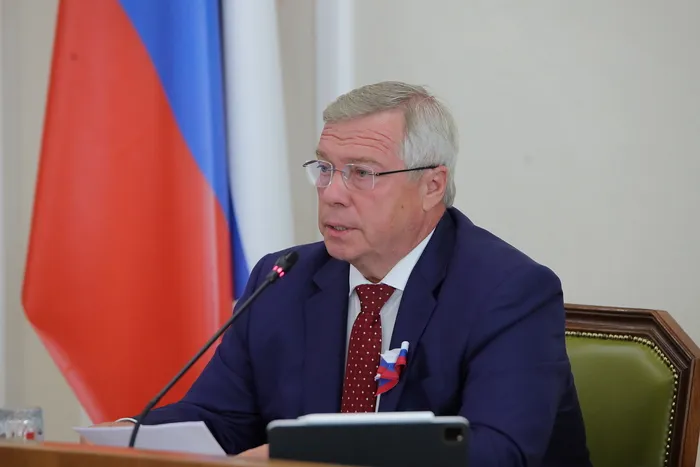 Губернатор Голубев назвал поджоги одной из причин пожаров на Дону Губернатор Голубев назвал поджоги одной из причин пожаров на Дону