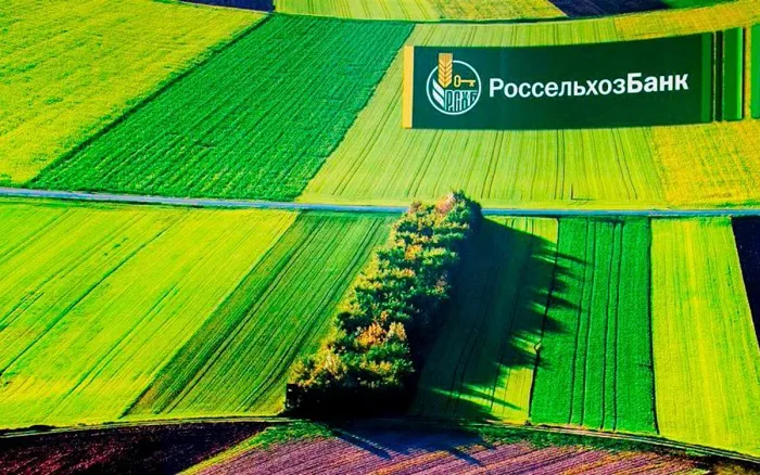 Уборочная кампания на Ставрополье стартовала при поддержке Россельхозбанка Уборочная кампания на Ставрополье стартовала при поддержке Россельхозбанка