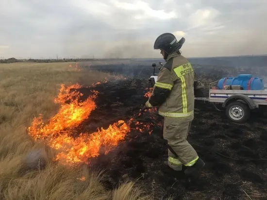 Рядом с Волгоградом ликвидируют ландшафтный пожар на площади 20 гектаров Рядом с Волгоградом ликвидируют ландшафтный пожар на площади 20 гектаров
