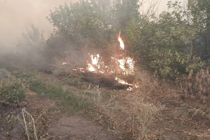 В Усть-Донском районе Дона введен режим ЧС из-за лесного пожара В Усть-Донском районе Дона введен режим ЧС из-за лесного пожара