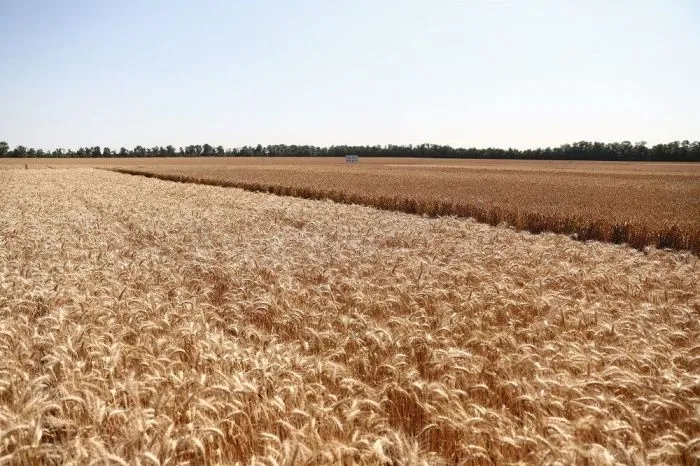 На Кубани продлили программу льготного выкупа сельхозземель до конца 2025 года На Кубани продлили программу льготного выкупа сельхозземель до конца 2025 года