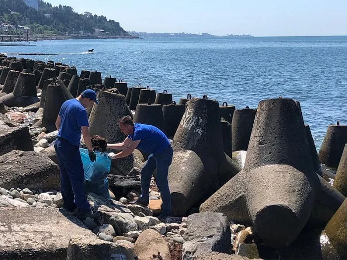 В Сочи во время субботника горожане собрали 60 тонн мусора В Сочи во время субботника горожане собрали 60 тонн мусора
