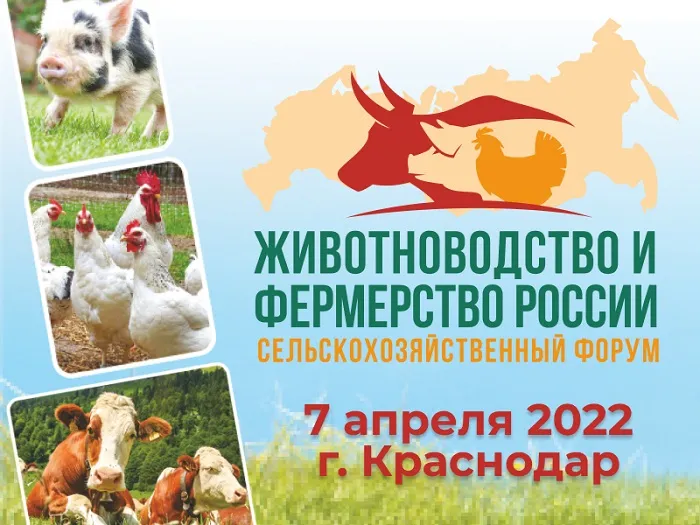 «Животноводство и фермерство России – 2022» состоится 7 апреля в Краснодаре