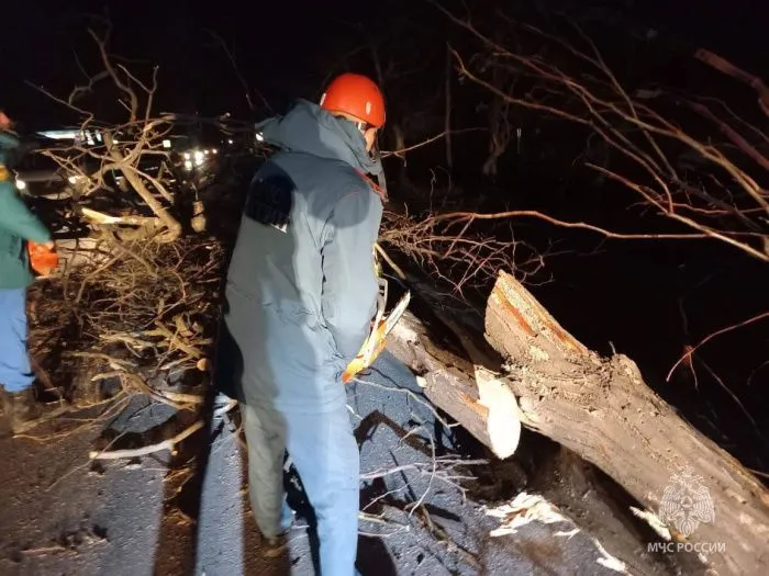 Из-за урагана в Крыму и Севастополе пострадали 7 человек и один числится пропавшим без вести
