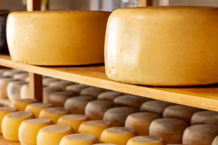 Сыроделы Дона в 2024 году начнут поставки продукции в Китай, Азербайджан и Узбекистан Сыроделы Дона в 2024 году начнут поставки продукции в Китай, Азербайджан и Узбекистан