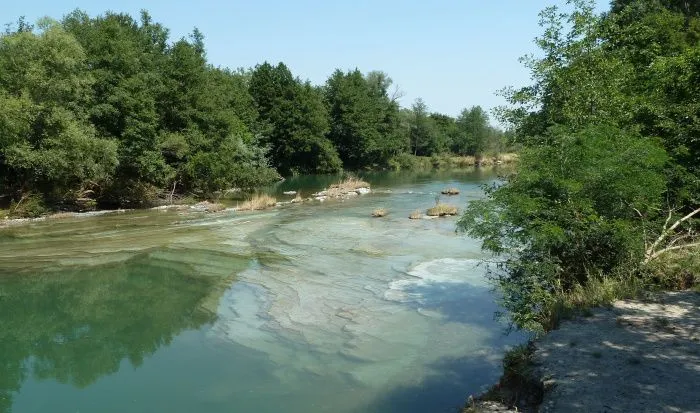 Прокуратура КЧР проверит «Эркен-Шахарский сахарный завод» по факту загрязнения реки Кубань