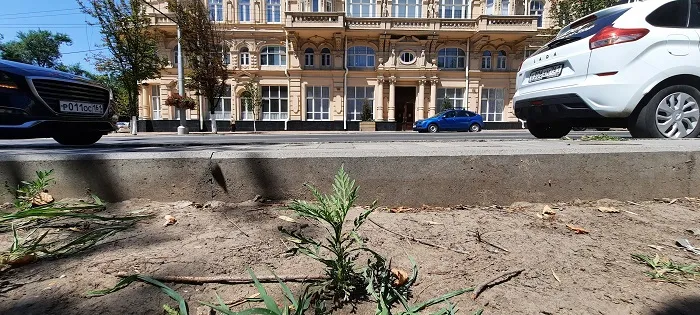 В Ростовской области парламентарии предложили платить жителям за борьбу с амброзией В Ростовской области парламентарии предложили платить жителям за борьбу с амброзией