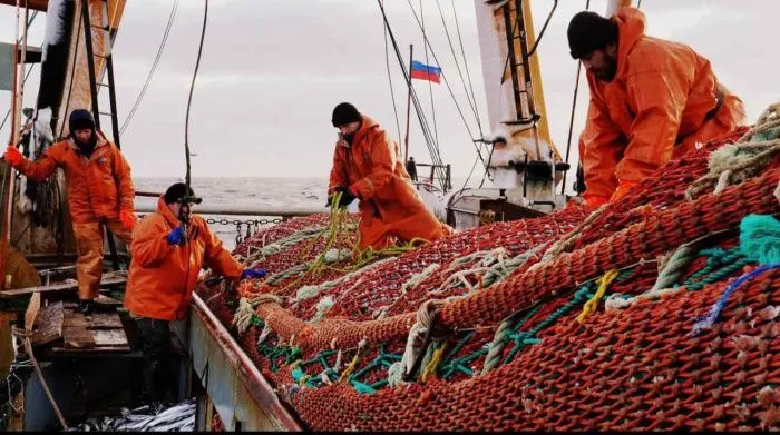 Вылов рыбы и креветок в Азовском море вырос почти на 3 тыс. тонн Вылов рыбы и креветок в Азовском море вырос почти на 3 тыс. тонн