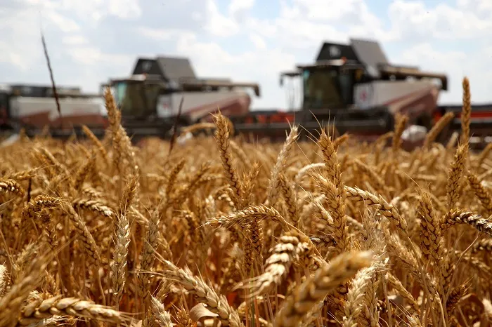 На Дону собрали 7,3 млн тонн зерна - более половины от запланированного объема