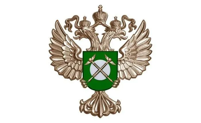 УФАС добилось отмены аукциона министерства образования Северной Осетии