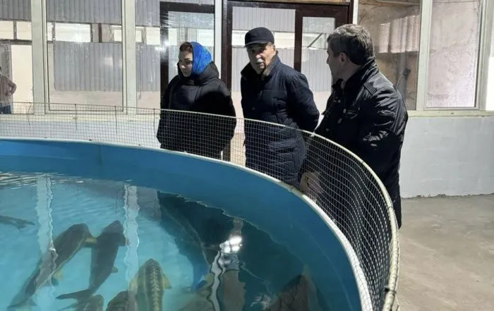 В Дагестане предприятие по разведению осетровых и получению черной икры запустит производство кормов В Дагестане предприятие по разведению осетровых и получению черной икры запустит производство кормов